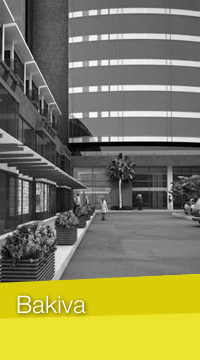 Bakiva