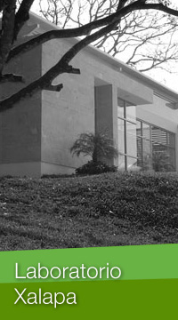 Laboratorio Xalapa
